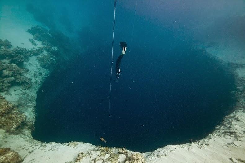 綺麗な海中の写真が集まるトピ