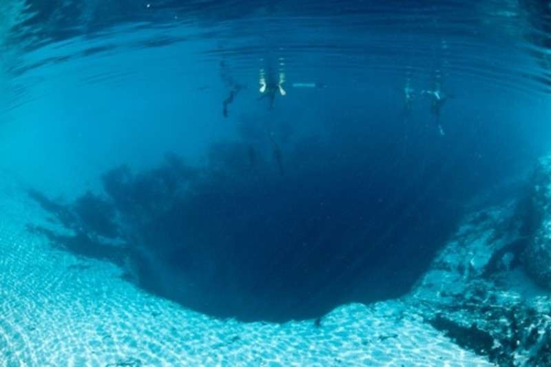 綺麗な海中の写真が集まるトピ
