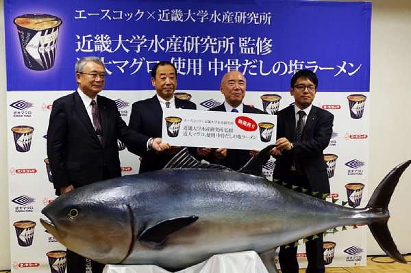 近畿大学マグロのカップ麺再び　エースコック、より濃厚に