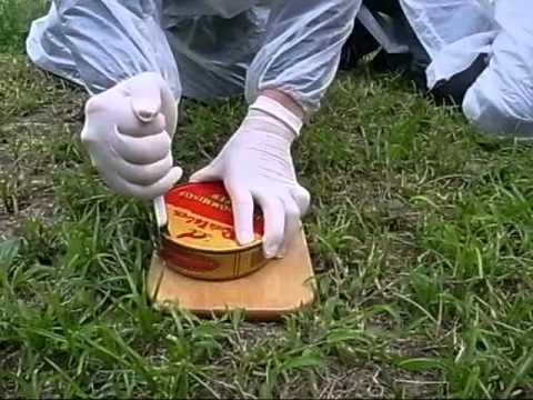 世界一臭い食べ物シュールストレミング缶を開ける - YouTube