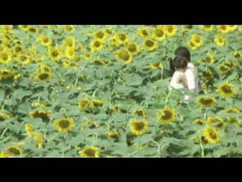 OST. Be With You - Toki wo Koete - YouTube