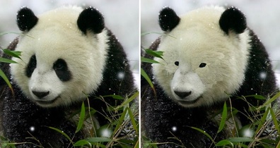 どんなアイライナーでもパンダになっちゃう人