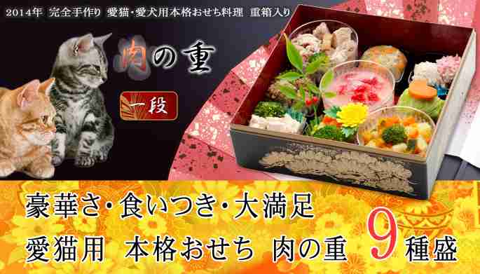 ペットのご飯はどんな物を与えていますか
