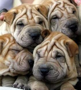 ついつい忘れてしまうこと