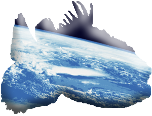 2011年11月18日 02:16 - ウェブ魚拓