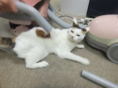 ついつい忘れてしまうこと