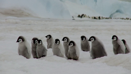 ついつい忘れてしまうこと