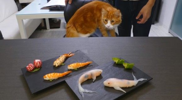 面白い食べ物の画像を貼るトピ