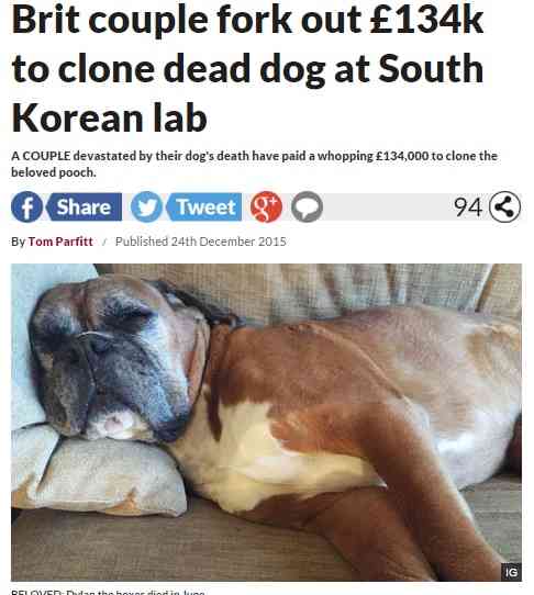 死んだ愛犬のクローンを2400万円で注文。英夫婦が韓国企業に
