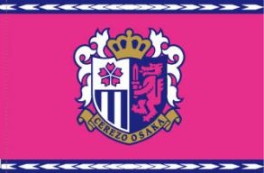 スポーツチ一ムどこを応援していますか？