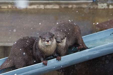 ついつい忘れてしまうこと