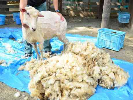 ついつい忘れてしまうこと