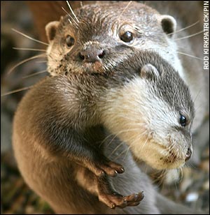 ついつい忘れてしまうこと