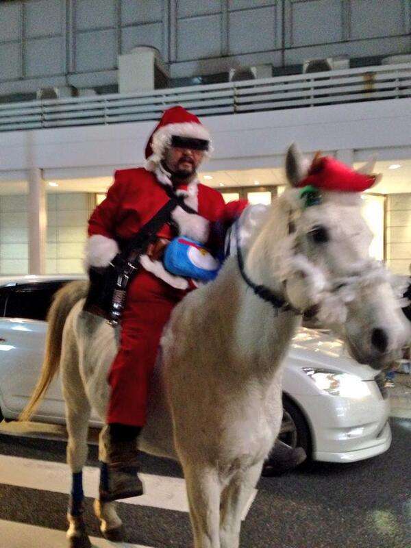 クリスマス×動物の画像下さい!