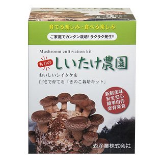 どうしてもって訳じゃないけど欲しいもの