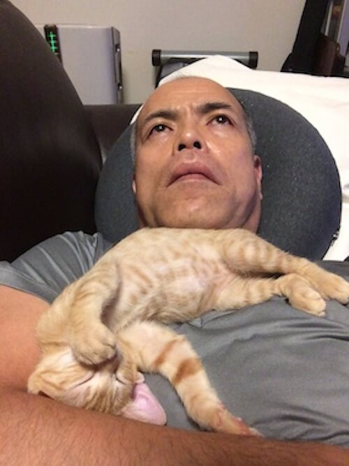 ねこ画像で癒されるトピ4