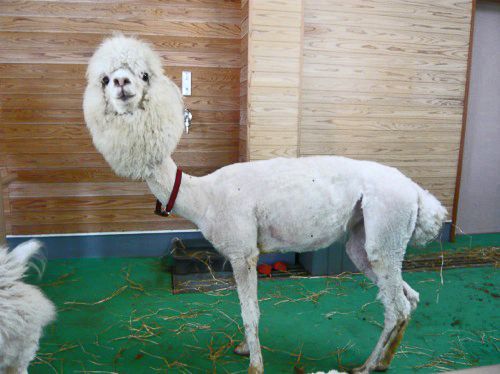 ついつい忘れてしまうこと