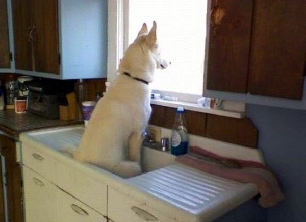 ついつい忘れてしまうこと