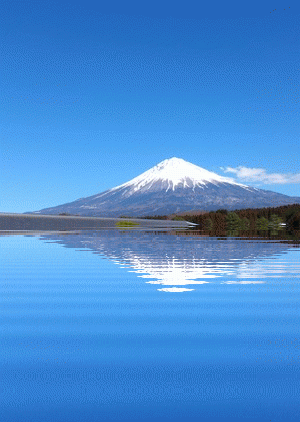 ついつい忘れてしまうこと