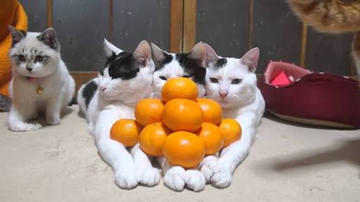 息抜きトピ