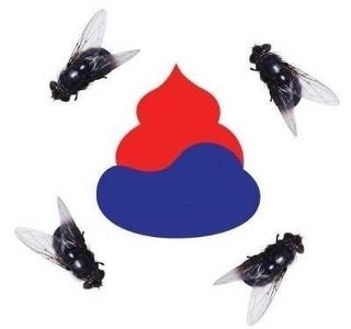 靖国神社で出火 韓国人の男を逮捕