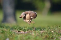 やる気スイッチ　オフになる事