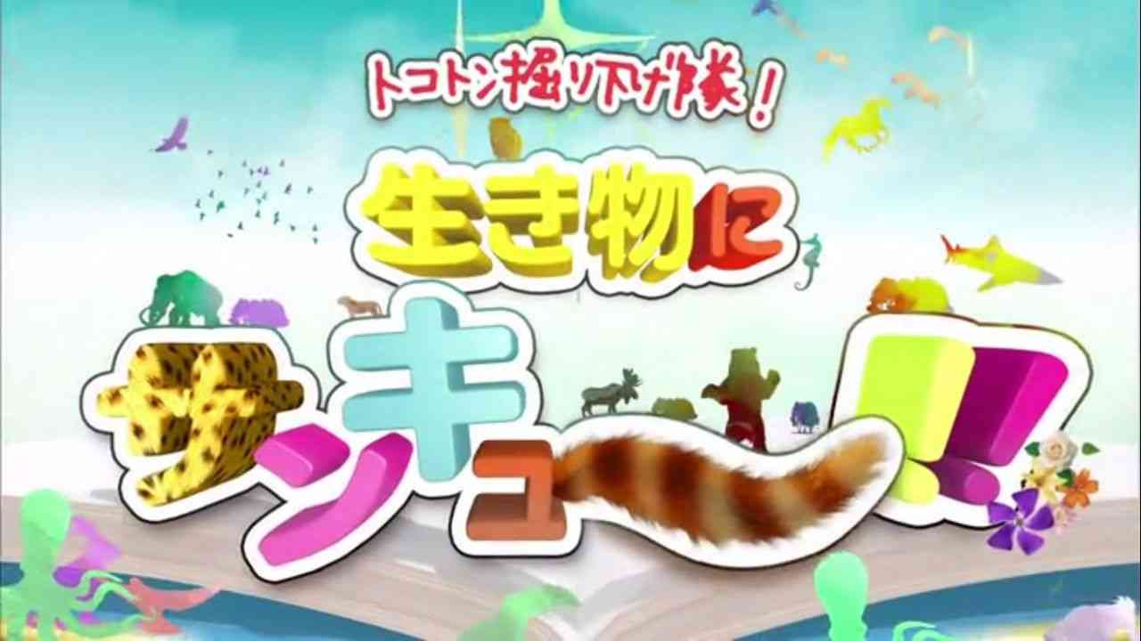 視聴者満足度が今年最も高かった番組 猫人気が鮮明に。アイドルもお笑いタレントもかなわず 