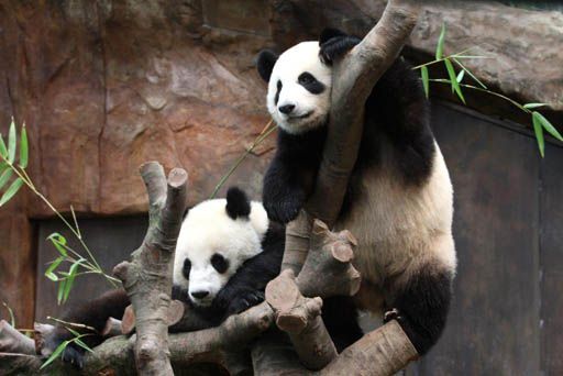 香港のオススメ、おしえて !!