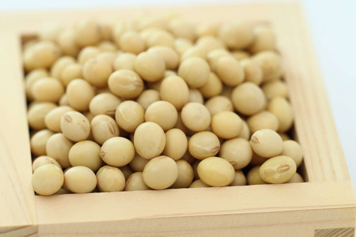 大豆製品が好きな方！
