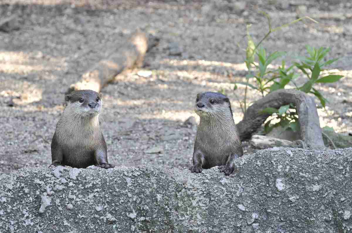 ついつい忘れてしまうこと