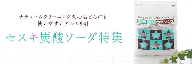 大掃除での技、お勧めありますか?