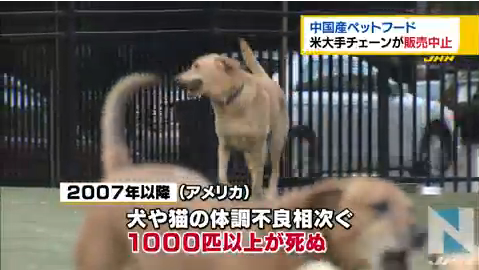 中国産ペットフードを食べた犬や猫がアメリカで1000匹以上死亡…中国産製品の締め出し加速化