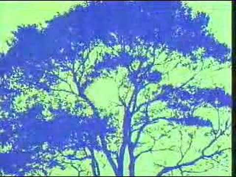KKB 鹿児島放送 オープニングID(アナログ時代) - YouTube