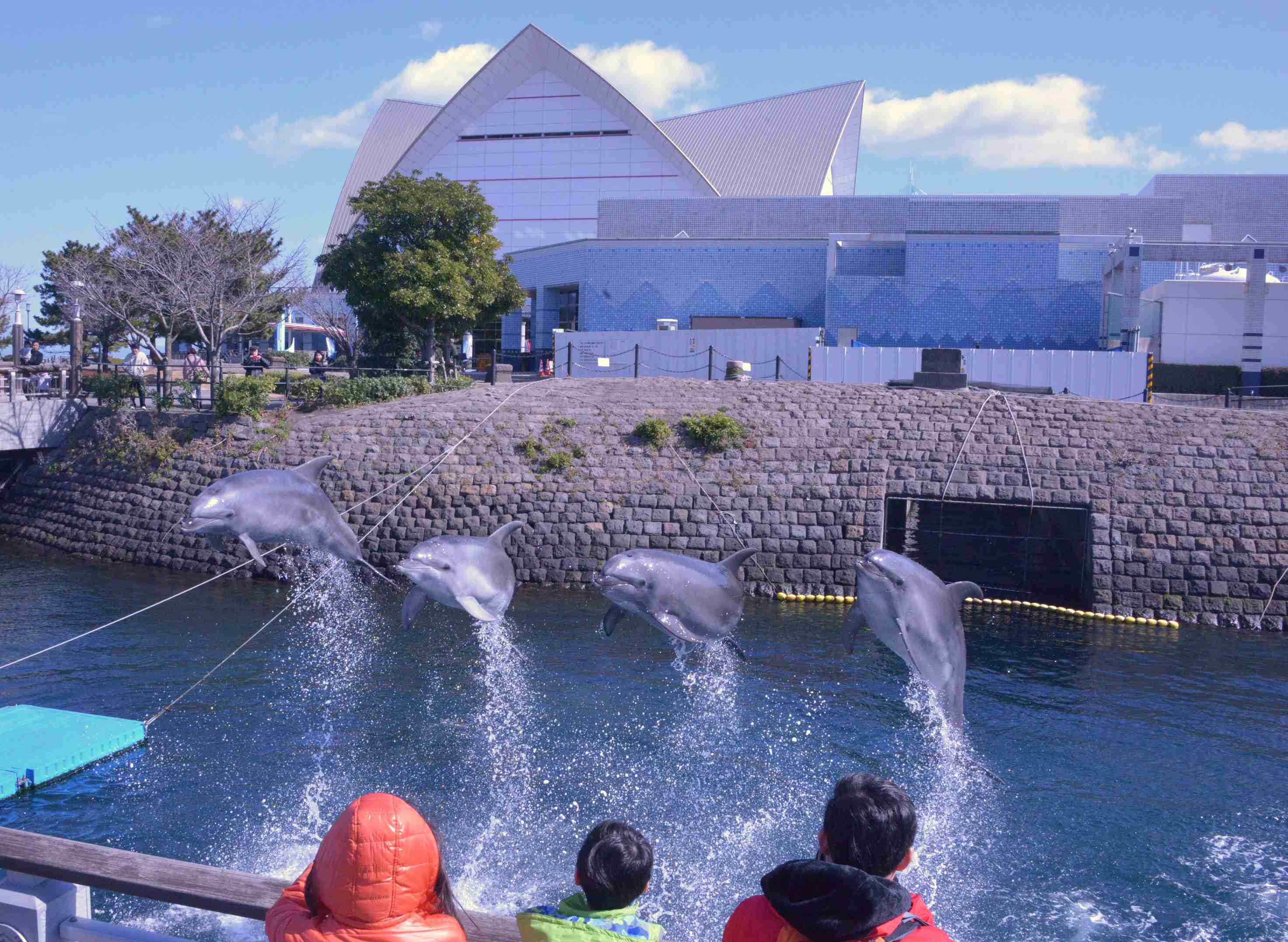 鹿児島県あるある