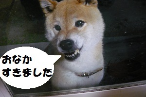 やる気スイッチ オフになる事