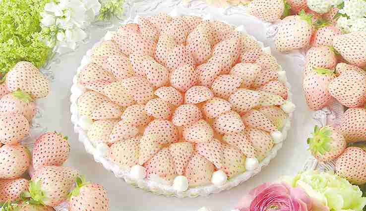 すごいケーキの画像