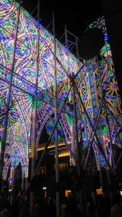 最近撮った写真を載せるトピ