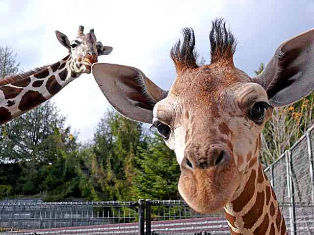 ついつい忘れてしまうこと