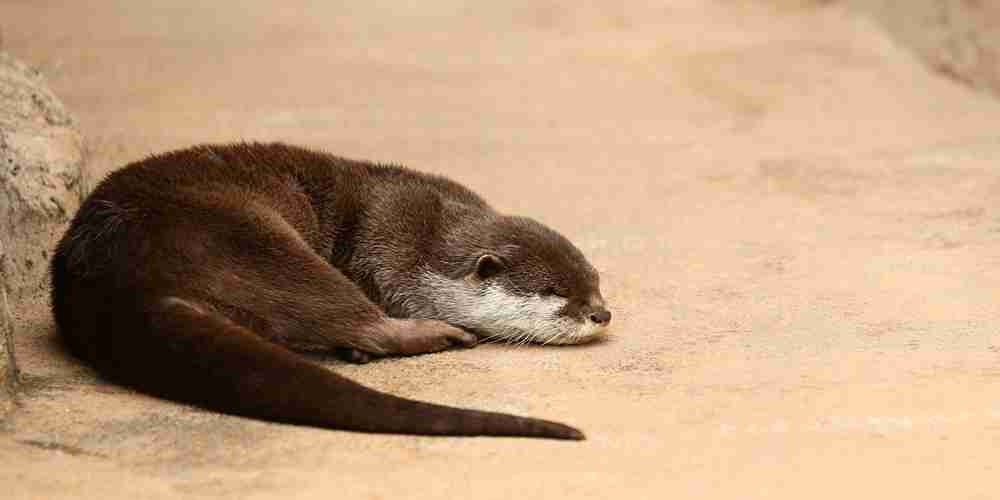 ついつい忘れてしまうこと