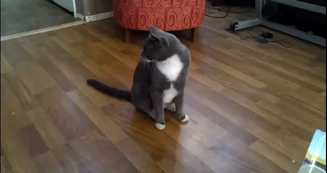 おしゃべりしたくなったら来るトピ