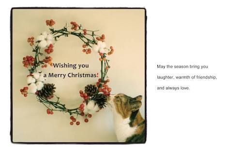 カレーが好きな人！