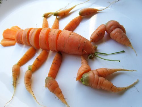 面白い食べ物の画像を貼るトピ