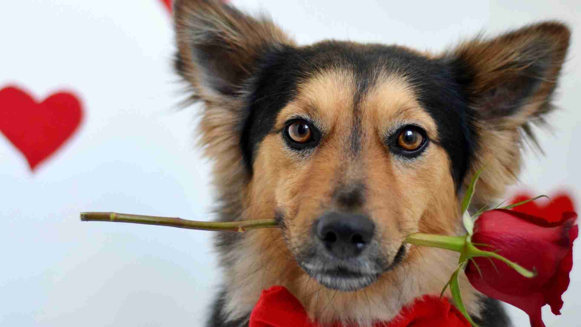 ついつい忘れてしまうこと