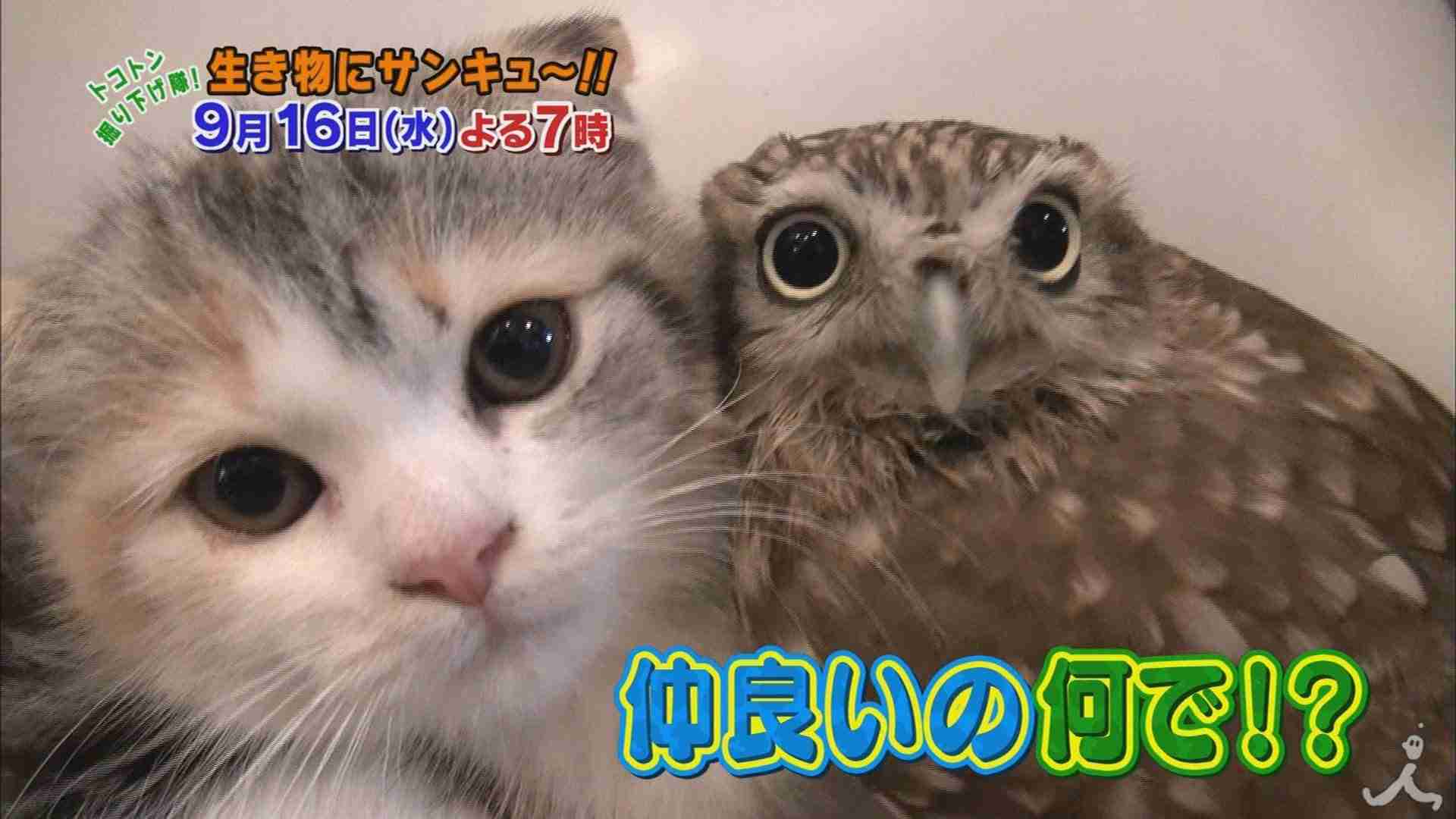 やる気スイッチ オフになる事