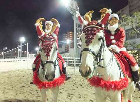 クリスマス×動物の画像下さい!