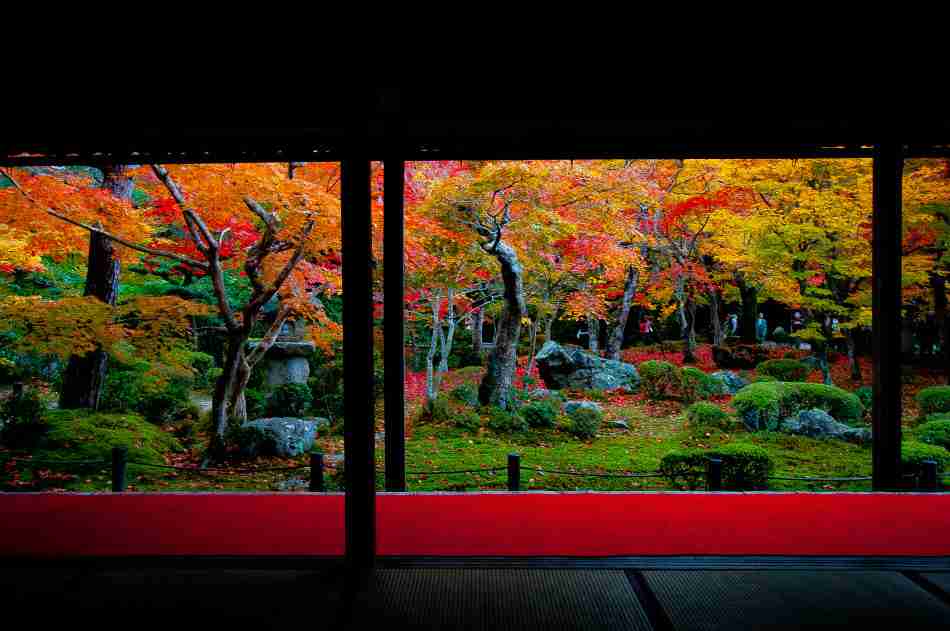 見に行きたくなる美しい写真！