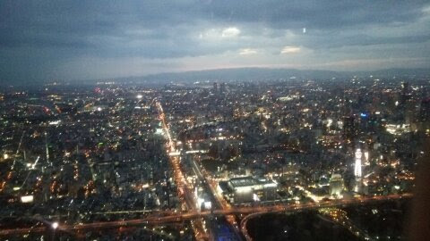 最近撮った写真を載せるトピ