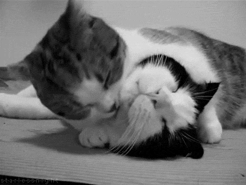 ガルちゃん歴どれくらい？