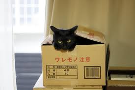 ついつい忘れてしまうこと