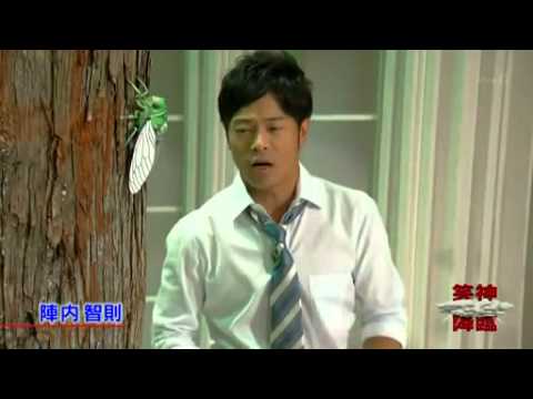 陣内智則　　セミの一週間 - YouTube